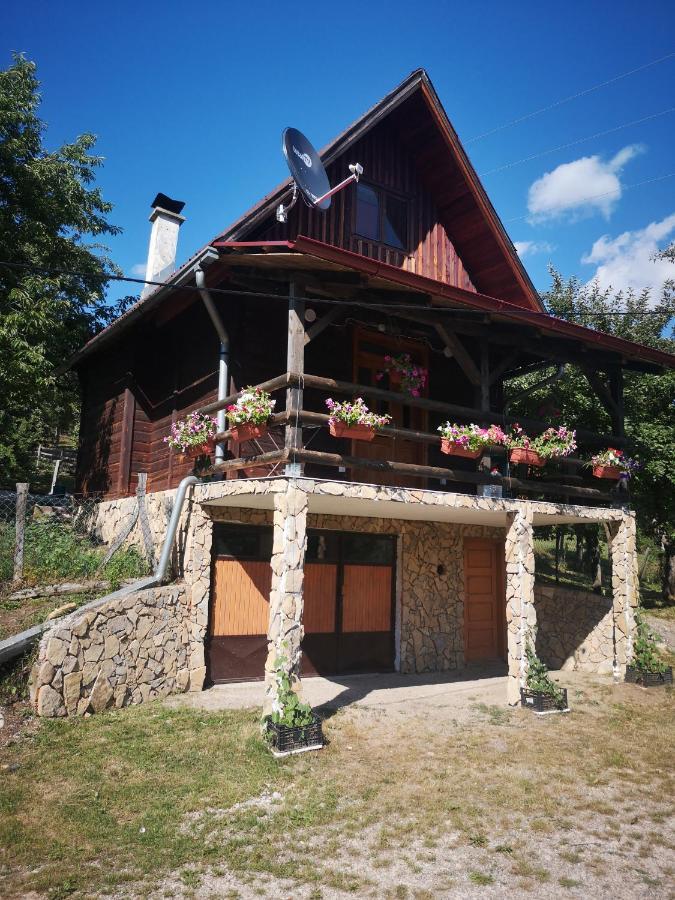 Vikendica Kod Brice Apartment Jevtici Exterior photo